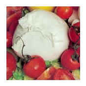 Mozzarella di Bufala