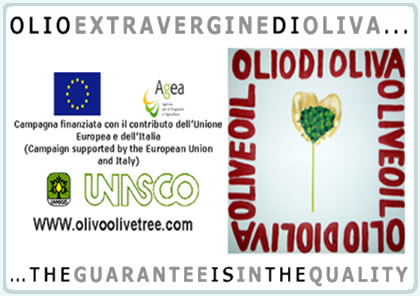 olivoolivetree.com