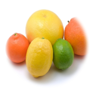Liquore agli Agrumi - Citruses