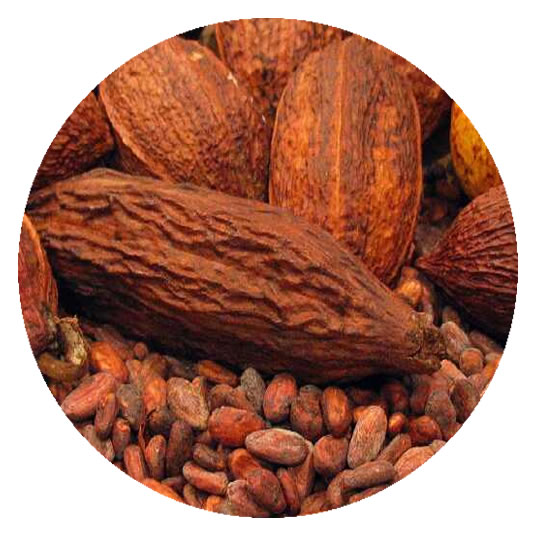 Liquore al cacao - Cocao