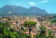 Avellino