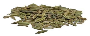 Fennel Seed