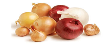 Onion 