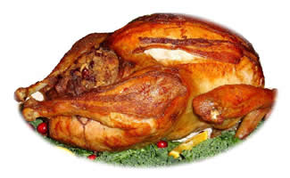 Turkey Recipes