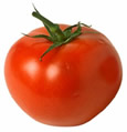 Home made tomato sauce
