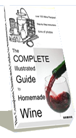 Wine Making